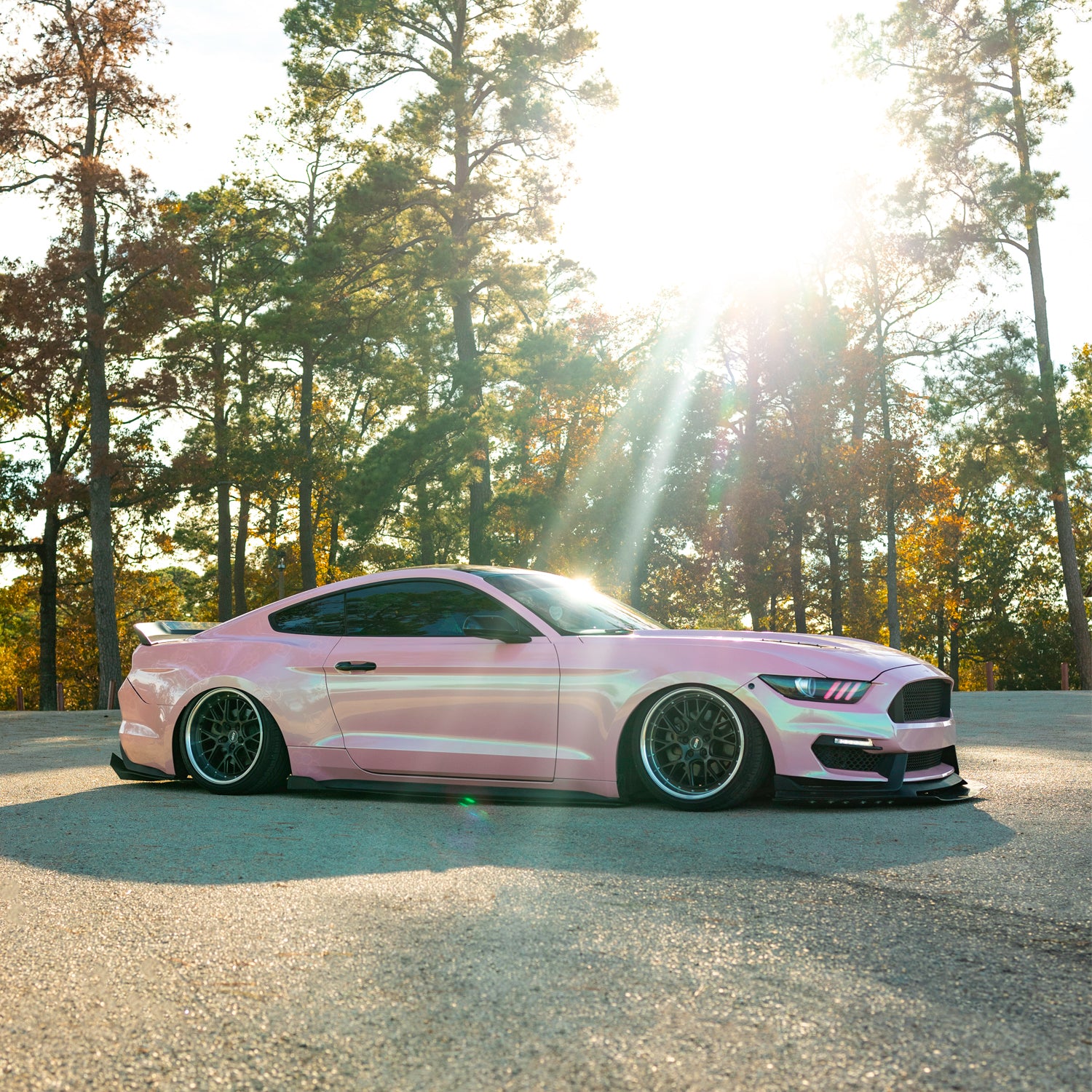 Watermelon Crush - Image 3