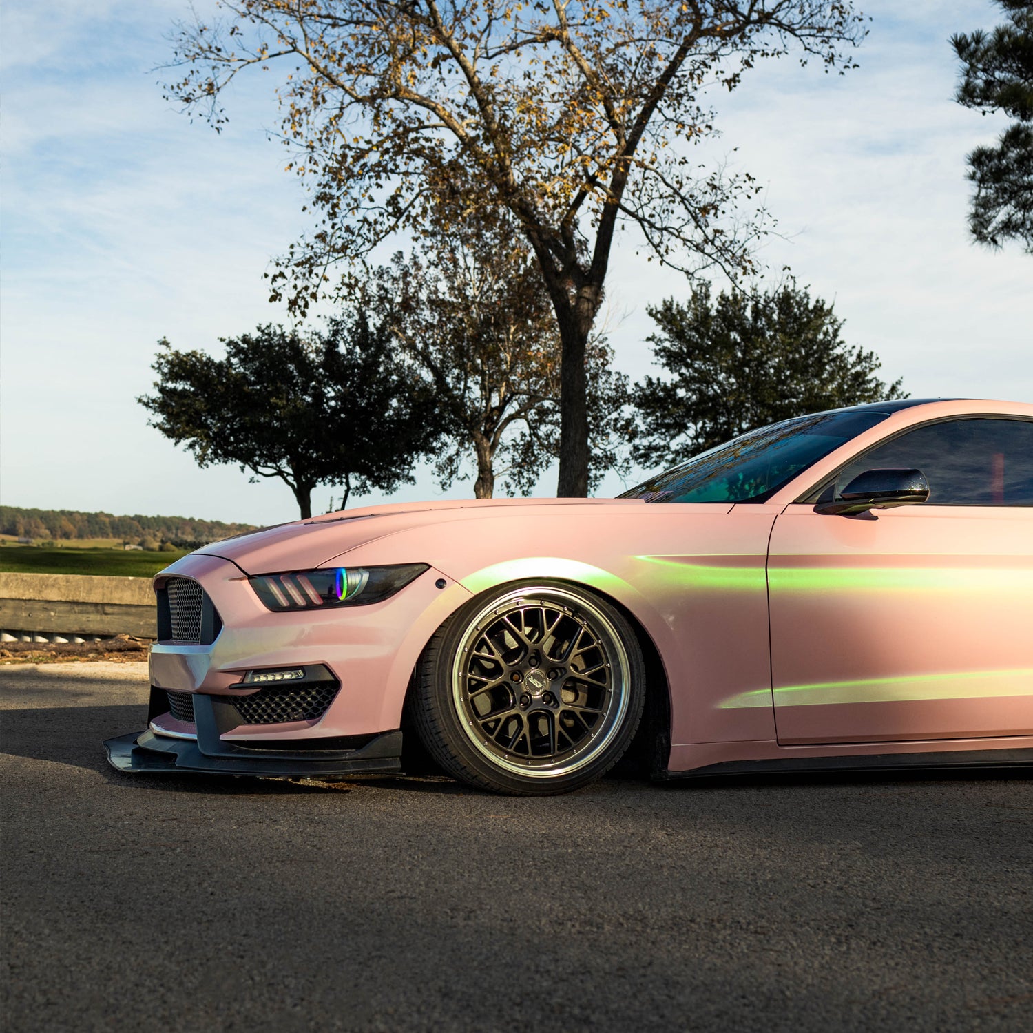 Watermelon Crush - Image 4