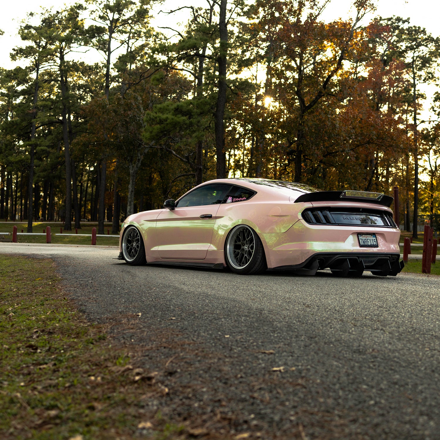 Watermelon Crush - Image 2