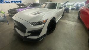 Paint Correction Improve Reflection